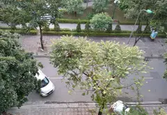 Cơ hội sở hữu nhà mặt phố Kim Quan Thượng vị trí vàng, giá tốt, diện tích rộng 75.5m²... Bán nhà mặt phố tại Việt Hưng, Hà Nội 08