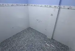 Bán nhà 2 tầng 33m2 tại phường Tân Sơn Nhì, giá 4.2 tỷ... Bán nhà riêng tại Tân Sơn Nhì, Hồ Chí Minh 08