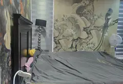 Bán căn hộ chung cư 4 phòng ngủ, chung cư TSQ Mỗ Lao, Hà Đông, diện tích 202m2... Bán căn hộ chung cư tại Hà Đông, Hà Nội 16