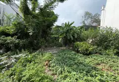 Đất vàng Dương Xá - Giá tốt chờ cơ hội lên giá... Bán đất tại Gia Lâm, Hà Nội 07