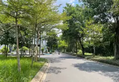 Đất nền Nguyễn Văn Linh giá tốt, xây dựng tự do... Bán đất tại Bình Hưng, Hồ Chí Minh 08