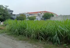 Bán đất Tân Xuân Hóc Môn, diện tích 126m2, pháp lý rõ ràng, giá cạnh tranh... Bán đất tại Hóc Môn, Hồ Chí Minh 01