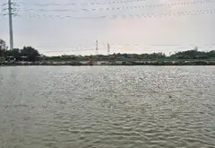 Sở hữu đất sinh thái rộng 1.2 ha ven dự án lớn Bình Chánh... Bán đất tại Bình Hưng, Hồ Chí Minh 02