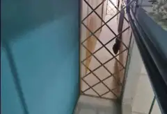 Bán nhà 5 tầng diện tích 36,4m2, 4 phòng ngủ tại Phú Nhuận, giá 11 tỷ... Bán nhà riêng tại Phú Nhuận, Hồ Chí Minh 03