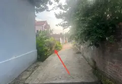 Lô đất siêu tiềm năng tại Sóc Sơn, Hà Nội chỉ 3.5 tỷ... Bán đất tại Sóc Sơn, Hà Nội 05