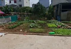 Bán đất thổ cư Phúc Lợi, mặt tiền 5m, diện tích 55.5 m², pháp lý cơ sở... Bán đất tại Long Biên, Hà Nội 03