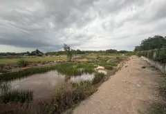 Bán đất 17.436m2 gần phà Bình Khánh, Cần Giờ giá 139 tỷ... Bán đất tại Bình Chánh, Hồ Chí Minh 11