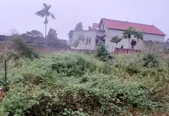 Đất đẹp sổ đỏ Tân Minh - vị trí vàng cho nhà đầu tư... Bán đất tại Sóc Sơn, Hà Nội 02