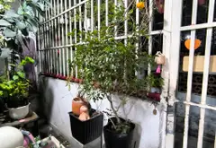 Nhà hẻm VIP Lê Văn Sỹ, giảm giá hấp dẫn, sổ đỏ chính chủ... Bán nhà riêng tại Phú Nhuận, Hồ Chí Minh 12