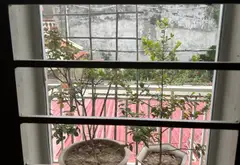 Nhà riêng 2 tầng mặt tiền rộng 6,1 m tại Đằng Hải, khu dân cư phát triển... Bán nhà riêng tại Hải An, Hải Phòng 11