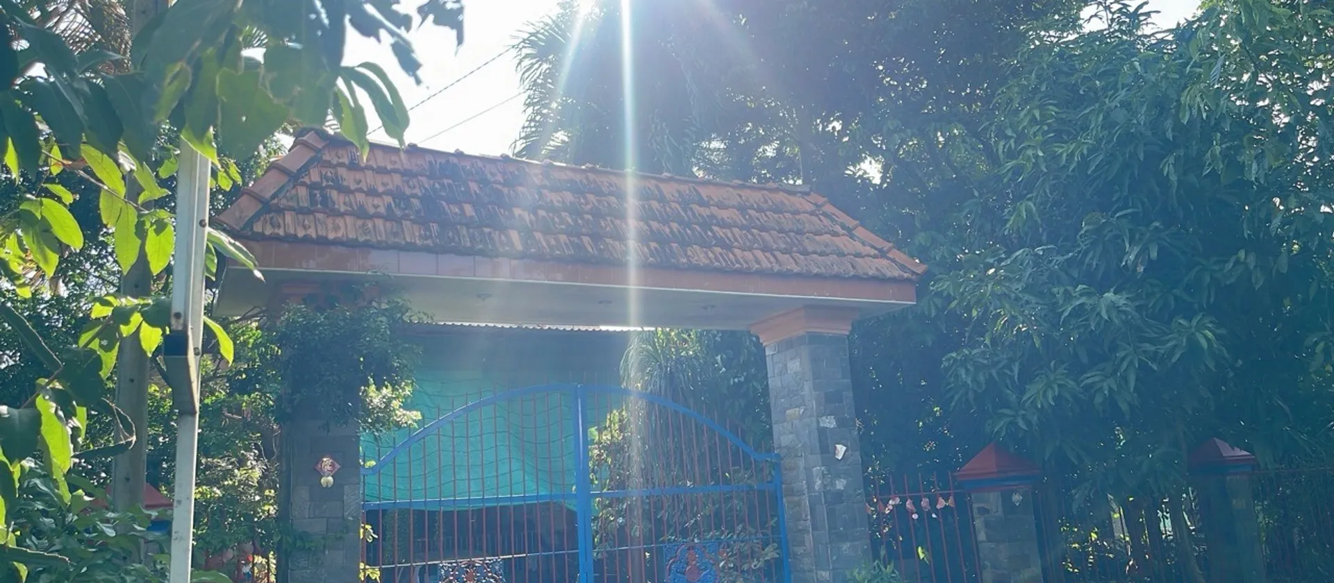 Đất nở hậu siêu đẹp tại Thái Mỹ, Củ Chi, giá sốc... Bán đất tại Thái Mỹ, Hồ Chí Minh 01