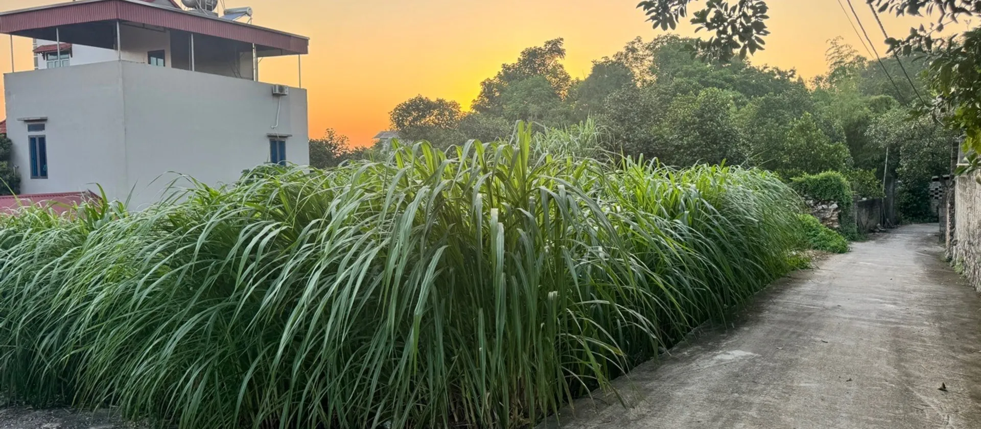🔥 ĐẤT CHIA LÔ, Ô TÔ VÀO ĐẤT, HAI MẶT THOÁNG TẠI NGỌC XÁ, ĐÀO VIÊN, BẮC NINH| 85,1M² –CHỈ 1,x TỶ... Bán đất tại Đào Viên, Bắc Ninh 01