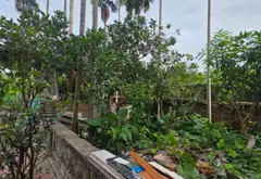 CƠ HỘI VÀNG: Bán đất nền đẹp thôn Ngọc Loan, 189.9m² chỉ 8.75 tỷ, tiềm năng sinh lời cao!... Bán đất tại Như Quỳnh, Hưng Yên 03