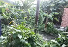 Đất rộng đẹp ngay khu dân cư phát triển... Bán đất tại Tam Bình, Hồ Chí Minh 12