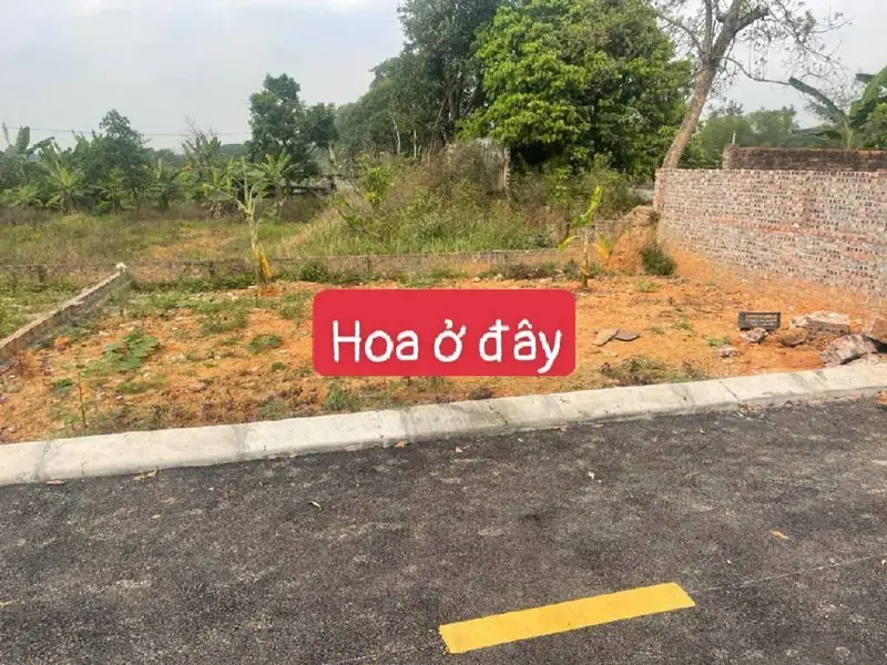 Cơ Hội Vàng: Đất 80m² Chỉ 1.7 Tỷ Tại Sóc Sơn!... Bán đất tại Sóc Sơn, Hà Nội 01