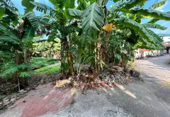 🔥 Lô góc 2 mặt thoáng – Tập Ninh, Chi Lăng, Bắc Ninh | 110m² – Chi Lăng Bắc Ninh - 1.95 tỷ... Bán đất tại Chi Lăng, Bắc Ninh 03