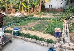 Lô Đất Vàng Quang Tiến - Cơ Hội Vàng Cho Nhà Đầu Tư!... Bán đất tại Nội Bài, Hà Nội 03