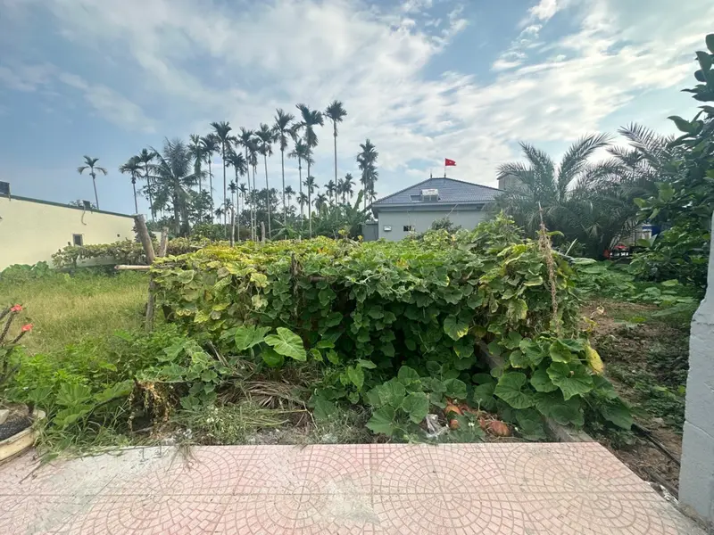 Cơ Hội Vàng Săn Đất Thổ Cư Đẹp Nhất Đại Trang - An Trường... Bán đất tại An Trường, Hải Phòng 01
