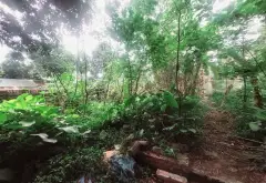 Thửa đất vuông vắn giá cực tốt tại Phú Mỹ - Biên Giang... Bán đất tại Chương Mỹ, Hà Nội 05
