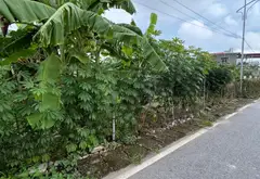 Đất Thổ Cư Trung Tâm Hoa Động Thuỷ Nguyên Mặt Tiền Rộng, Ngõ Thông Ô Tô Tránh... Bán đất tại Thủy Nguyên, Hải Phòng 01