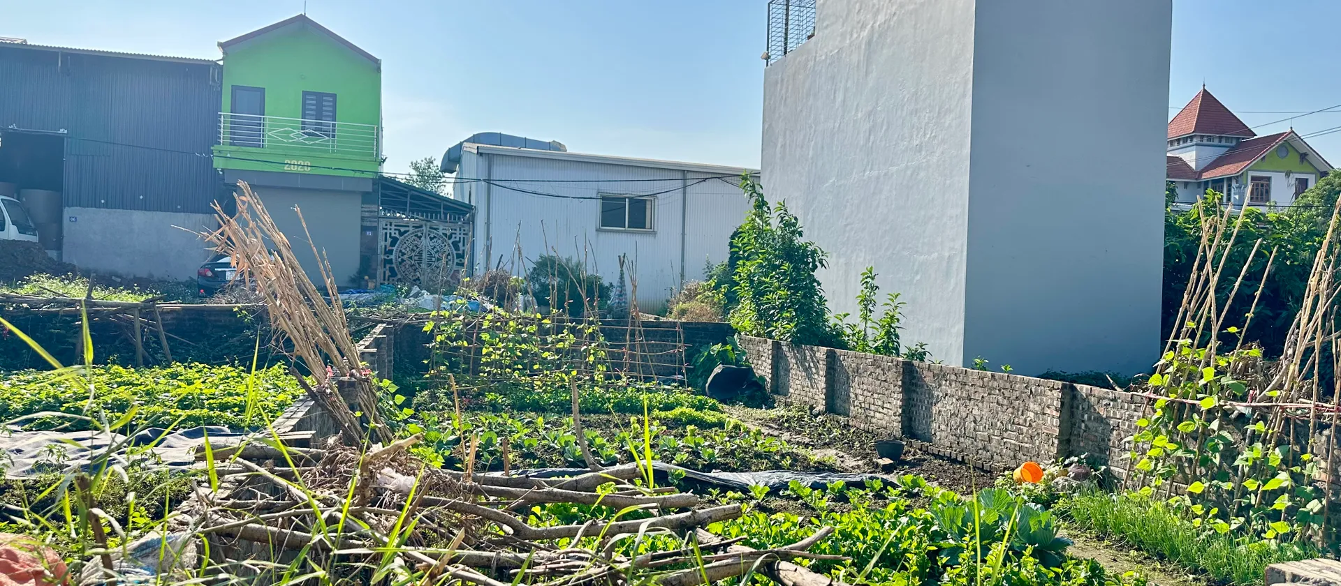 ✨ 50m²(5.3tỷ) VIEW TRƯỜNG HỌC ĐÔNG ANH – Ô TÔ VÀO ĐẤT – 3 PHÚT ĐẾN CẦU THĂNG LONG – 5P ĐẾN CẦU NHẬT... Bán đất tại Vĩnh Thanh, Hà Nội 01