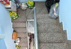 Bán nhà riêng 4 tầng 2PN 3WC diện tích 33m2 tại quận Tây Hồ... Bán nhà riêng tại Bảy Hiền, Hồ Chí Minh 06