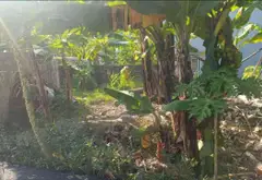 Đất nền vàng hướng Nam yên bình tại phường Hà Lầm... Bán đất tại Hà Lầm, Quảng Ninh 02