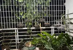 Bán nhà riêng 5 tầng, ngõ ô tô đỗ cửa tại Xuân La giá 11 tỷ giảm 300 triệu... Bán nhà riêng tại Xuân Đỉnh, Hà Nội 07