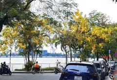 MẶT ĐƯỜNG TO VỊ TRÍ VÀNG KINH DOANH TUYỆT ĐẸP, MẶT TIỀN RỘNG, Ô TÔ VÀO NHÀ. VIEW TOÀN CẢNH HỒ TÂY... Bán nhà riêng tại Tây Hồ, Hà Nội 03