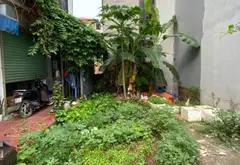 Bán đất mặt tiền 5m tại khu vực có nhiều tiện ích trường học, diện tích 69.8 m2... Bán đất tại Phúc Lợi, Hà Nội 03