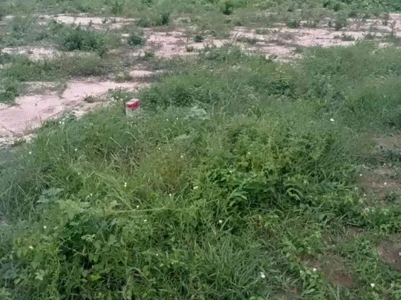 Đất mặt tiền siêu đẹp tại Phường Thái Mỹ, Củ Chi... Bán đất tại Thái Mỹ, Hồ Chí Minh 01