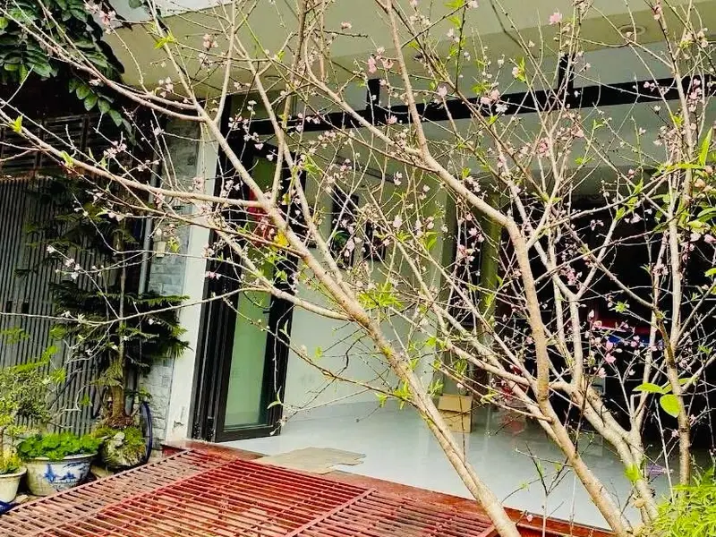 Biệt thự, liền kề ô tô tránh gần trung tâm, cơ hội sở hữu giá tốt... Bán biệt thự, liền kề tại Kiến Hưng, Hà Nội 01