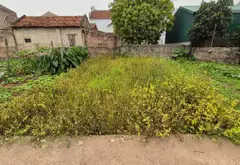 Đất nở hậu Chương Dương - Đầu tư hay an cư đều tuyệt!... Bán đất tại Chương Dương, Hà Nội 01