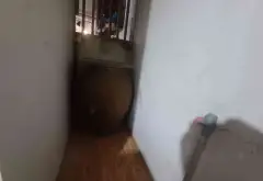 Nhà Hồ Học Lãm, sát Võ Văn Kiệt, 151.3m², 6 tỷ... Bán nhà riêng tại An Lạc, Hồ Chí Minh 09