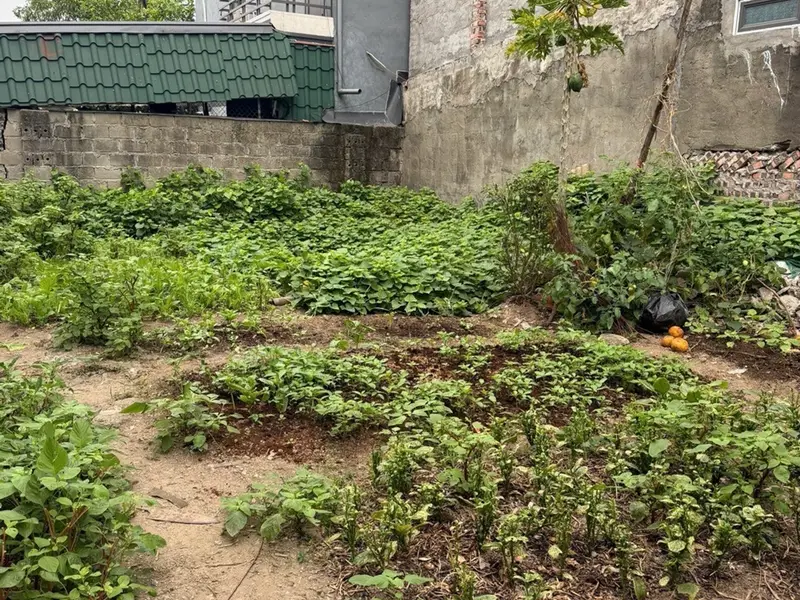 Đất đẹp 90m² mặt đường KDC An Trang - Vị trí siêu tiện lợi... Bán đất tại An Hải, Hải Phòng 01