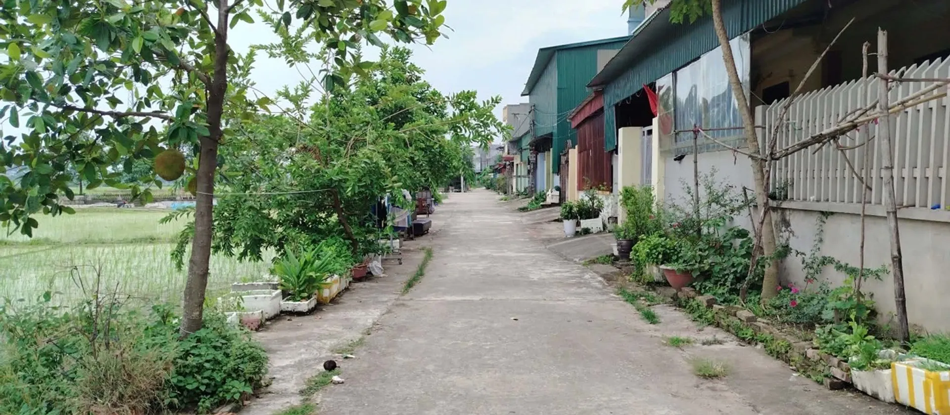 Bán đất 100m² hướng Bắc mặt tiền 5.8m tại Ném Sơn với giá tốt... Bán đất tại Hạp Lĩnh, Bắc Ninh 01