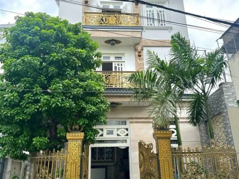 Biệt thự 3 tầng sang trọng tại Bình Hưng Hòa, Bình Tân, diện tích 100m²... Bán nhà riêng tại Bình Hưng Hòa, Hồ Chí Minh 01