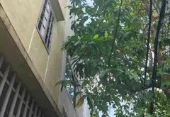 Khối Tài Sản Sang Trọng Trên Phố Phan Đăng Lưu – Đà Nẵng... Bán nhà mặt phố tại Hải Châu, Đà Nẵng 02