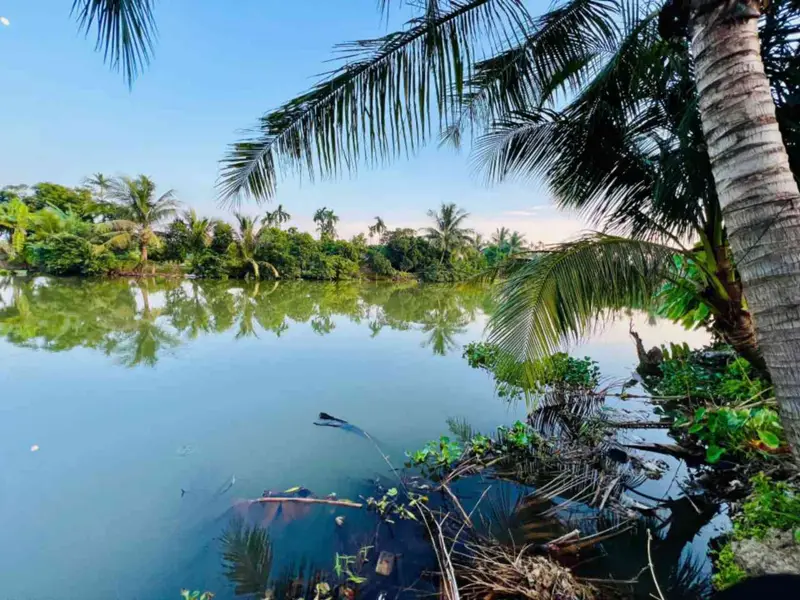 Đất An Trường giá hợp lý, ngõ thông thoáng... Bán đất tại An Lão, Hải Phòng 01