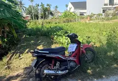 Kiếm đất HOT Phường An Hải, Hải Phòng - Đầu tư cực phẩm... Bán đất tại An Hải, Hải Phòng 02
