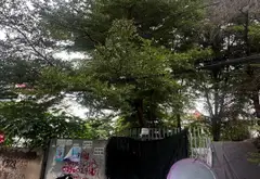 Đất Biệt Thự Ven Sông Giá Trị Vàng Tại TP Thủ Đức... Bán đất tại Hiệp Bình, Hồ Chí Minh 11