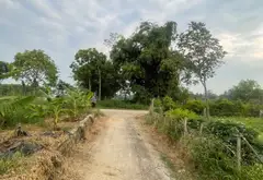 Bán đất lô góc tại Thôn với vị trí thuận tiện và sổ đỏ chính chủ... Bán đất tại Hiệp Hòa, Bắc Ninh 03