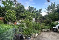 Lô đất vị trí đắc địa trung tâm phường An Dương, thuận tiện an cư và đầu tư... Bán đất tại An Dương, Hải Phòng 03