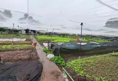 Bán nhanh lô đất rộng lớn tại Hóc Môn, vị trí vàng chỉ cách chợ 300m... Bán đất tại Đông Thạnh, Hồ Chí Minh 02