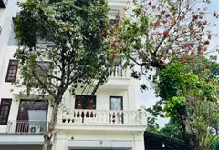 Tòa CCMN lô góc HUD Vân Canh - Ô tô đỗ cửa, lợi nhuận khủng... Bán biệt thự, liền kề tại Sơn Đồng, Hà Nội 01