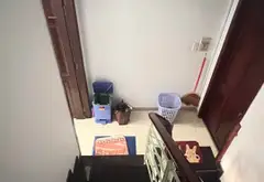 Nhà 3 Tầng Hẻm Xe Tải Bình Tân, Vị Trí Đẹp Cần Đón Đầu Cơ Hội Hiếm... Bán nhà riêng tại Bình Tân, Hồ Chí Minh 10