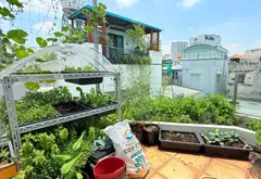 Nhà Biệt Thự Thoáng Mát 4 Tầng Giá Hạt Dẻ... Bán nhà riêng tại Cầu Kiệu, Hồ Chí Minh 04