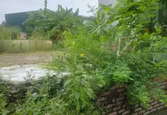 Mảnh đất vuông vắn, tiềm năng ngay gần Đại học Luật Hà Nội... Bán đất tại Tam Sơn, Bắc Ninh 07