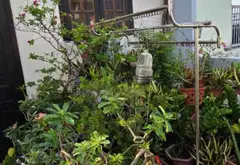 Nhà 5 Tầng Vừa Ở Vừa Kinh Doanh Gần Chợ Ông Địa... Bán nhà riêng tại Tân Hòa, Hồ Chí Minh 15