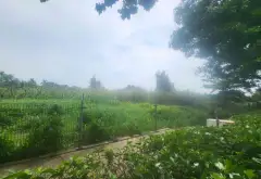 Bán đất xã Nhơn Đức, huyện Nhà Bè, gần khu đô thị The Star Village, diện tích lớn 3616.5m²... Bán đất tại Hiệp Phước, Hồ Chí Minh 01